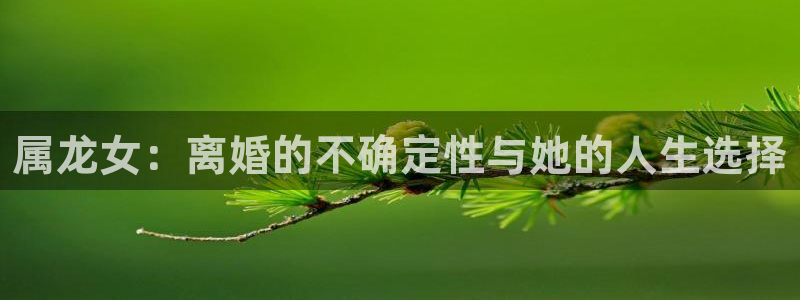 多多28g体育凯捷代理注册：属龙女：离婚的不确定性与她的人生选择
