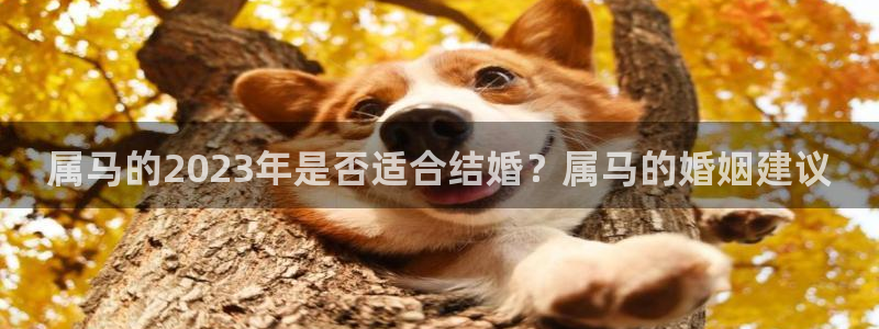 多多28g包怎么样