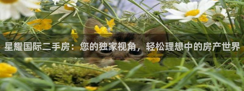 多多28g体育凯捷平台注册：星耀国际二手房：您的独家视角，轻松理想中的房产世界