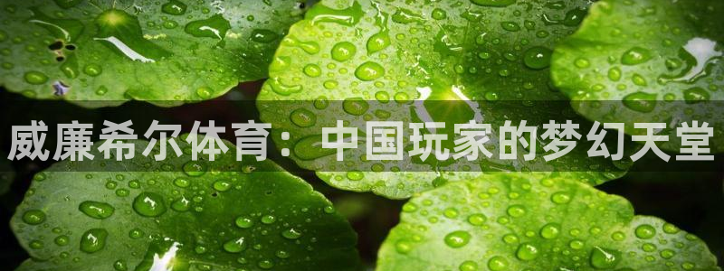 多多28g3注册：威廉希尔体育：中国玩家的梦幻天堂