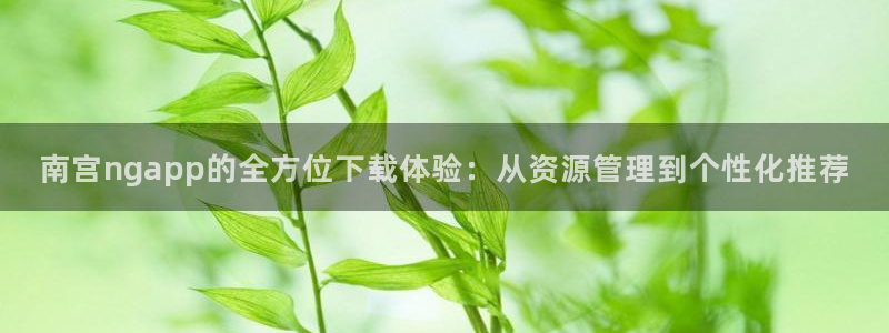 多多28g2体育：南宫ngapp的全方位下载体验：从资源管理到个性化推荐