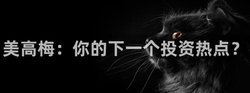 多多28g3平台注册：美高梅：你的下一个投资热点？
