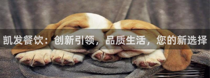 多多28g平台注册入口：凯发餐饮：创新引领，品质生活，您的新选择