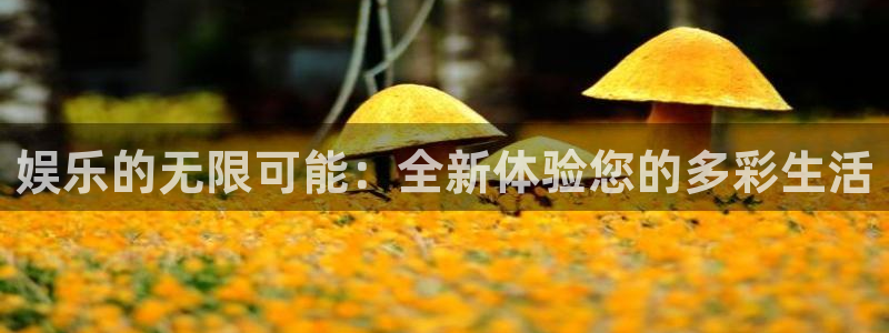 多多28g体育注册平台：娱乐的无限可能：全新体验您的多彩生活