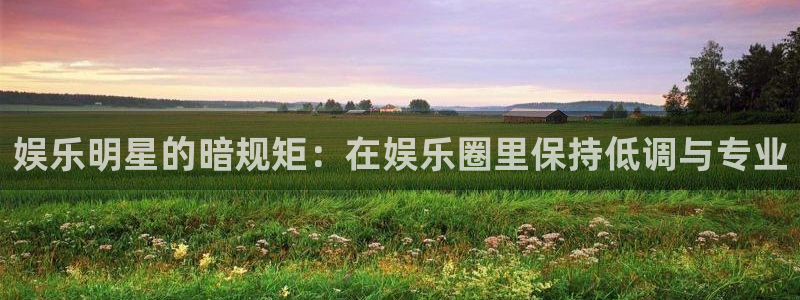 多多28g2平台：娱乐明星的暗规矩：在娱乐圈里保持低调与专业