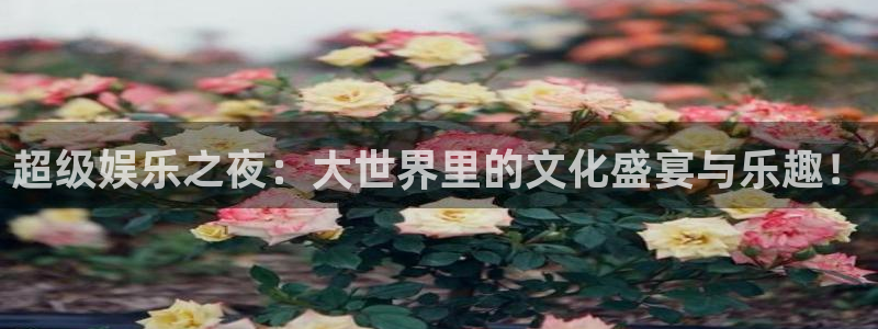 多多28g2平台：超级娱乐之夜：大世界里的文化盛宴与乐趣！