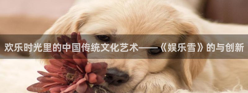 www.多多28g体育.com：欢乐时光里的中国传统文化艺术——《娱乐雪》的与创新