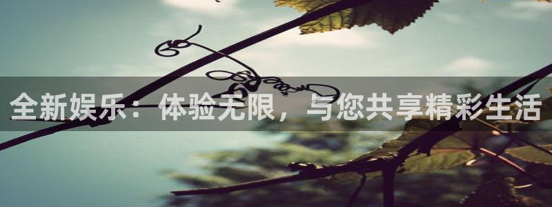 多多28g包怎么样：全新娱乐：体验无限，与您共享精彩生活