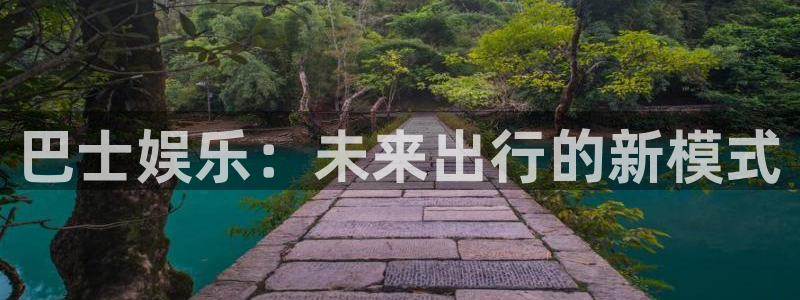 多多28g3：巴士娱乐：未来出行的新模式