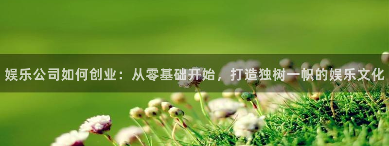 多多28g4登录：娱乐公司如何创业：从零基础开始，打造独树一帜的娱乐文化