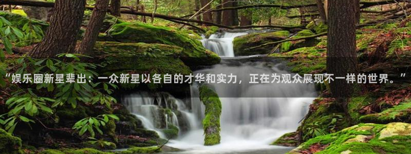 多多28g体育热门赛事有哪些：“娱乐圈新星辈出：一众新星以各自的才华和实力，正在为观众展现不一样的世界。”