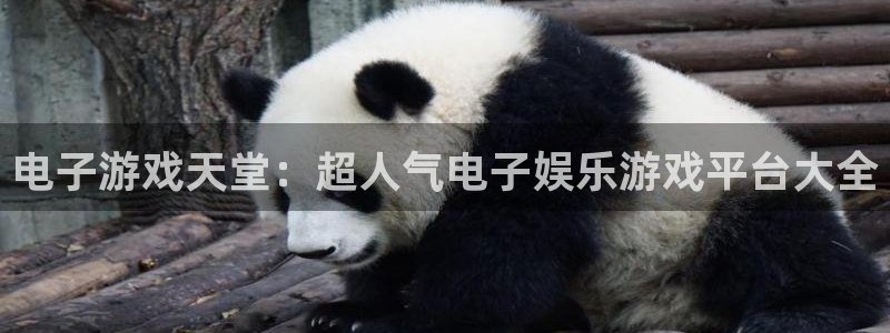 多多28g官网：电子游戏天堂：超人气电子娱乐游戏平台大全