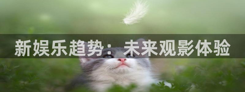 多多28g登录：新娱乐趋势：未来观影体验