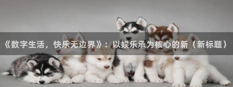 多多28g2平台：《数字生活，快乐无边界》：以娱乐承为核心的新（新标题）