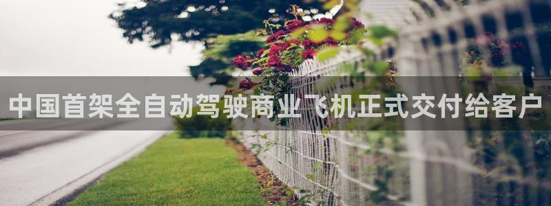 多多28g体育f开号：中国首架全自动驾驶商业飞机正式交付给客户