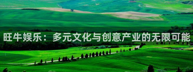 多多28g体育注册登录入口：旺牛娱乐：多元文化与创意产业的无限可能