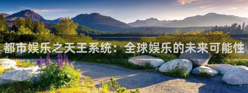 多多28g体育平台登录入口：都市娱乐之天王系统：全球娱乐的未来可能性