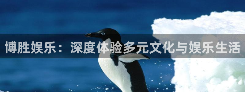 多多28g3：博胜娱乐：深度体验多元文化与娱乐生活