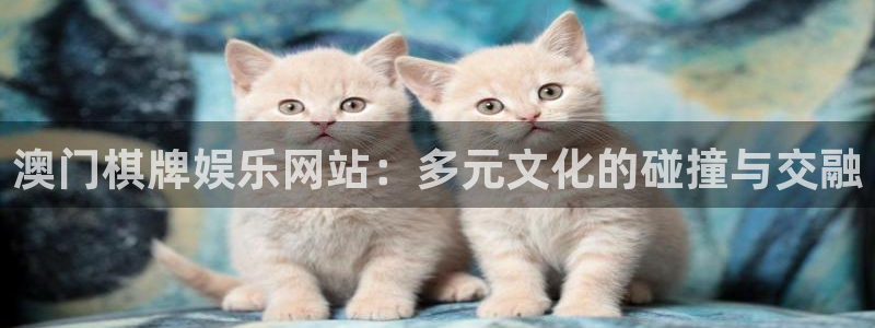 多多28g体育论坛：澳门棋牌娱乐网站：多元文化的碰撞与交融