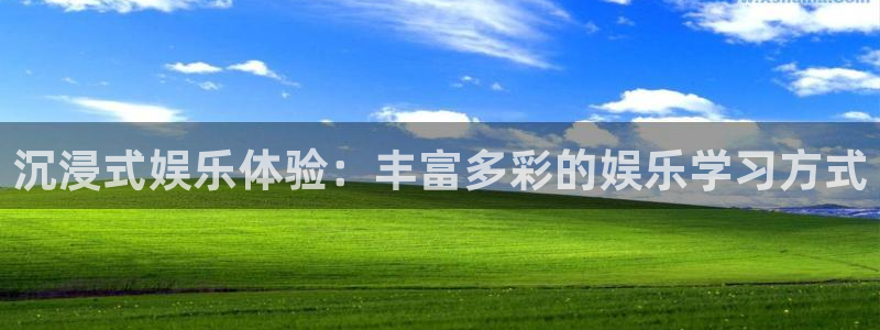 多多28g3官网：沉浸式娱乐体验：丰富多彩的娱乐学习方式