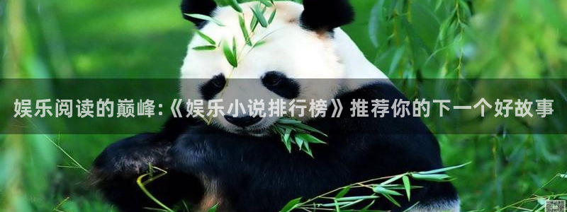 多多28g股份：娱乐阅读的巅峰:《娱乐小说排行榜》推荐你的下一个好故事