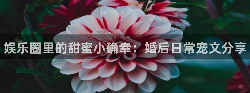 多多28g2登录入口：娱乐圈里的甜蜜小确幸：婚后日常宠文分享