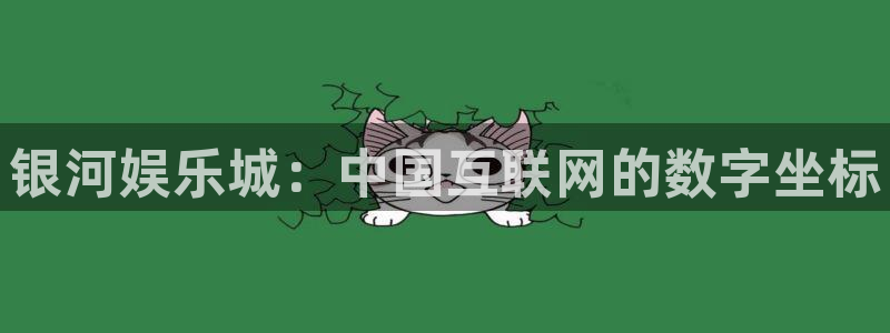 多多28g体育3：银河娱乐城：中国互联网的数字坐标