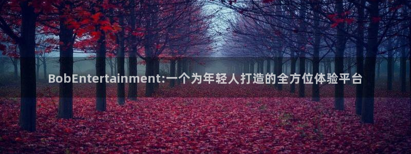 多多28g体育平台开号链接：BobEntertainment:一个为年轻人打造的全方位体验平台