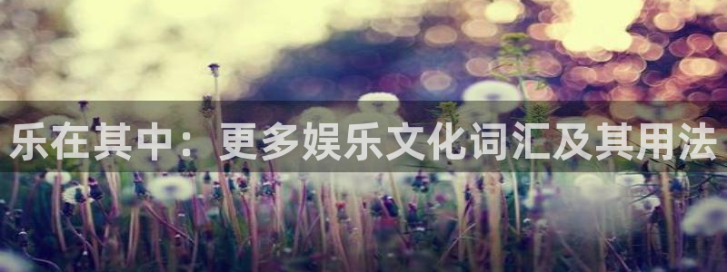 多多28g集团总部：乐在其中：更多娱乐文化词汇及其用法