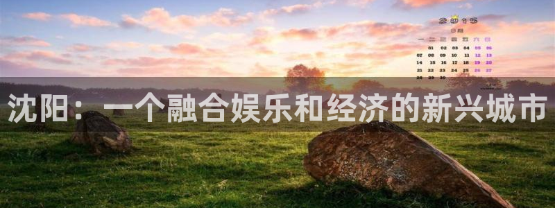 多多28g体育和杏耀是哪个公司的：沈阳：一个融合娱乐和经济的新兴城市