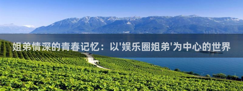 多多28g体育官网入口登录：姐弟情深的青春记忆：以\'娱乐圈姐弟\'为中心的世界