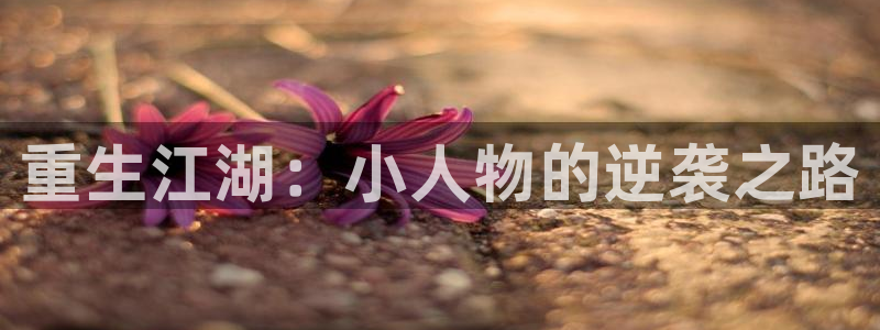 多多28g登录界面入口：重生江湖：小人物的逆袭之路
